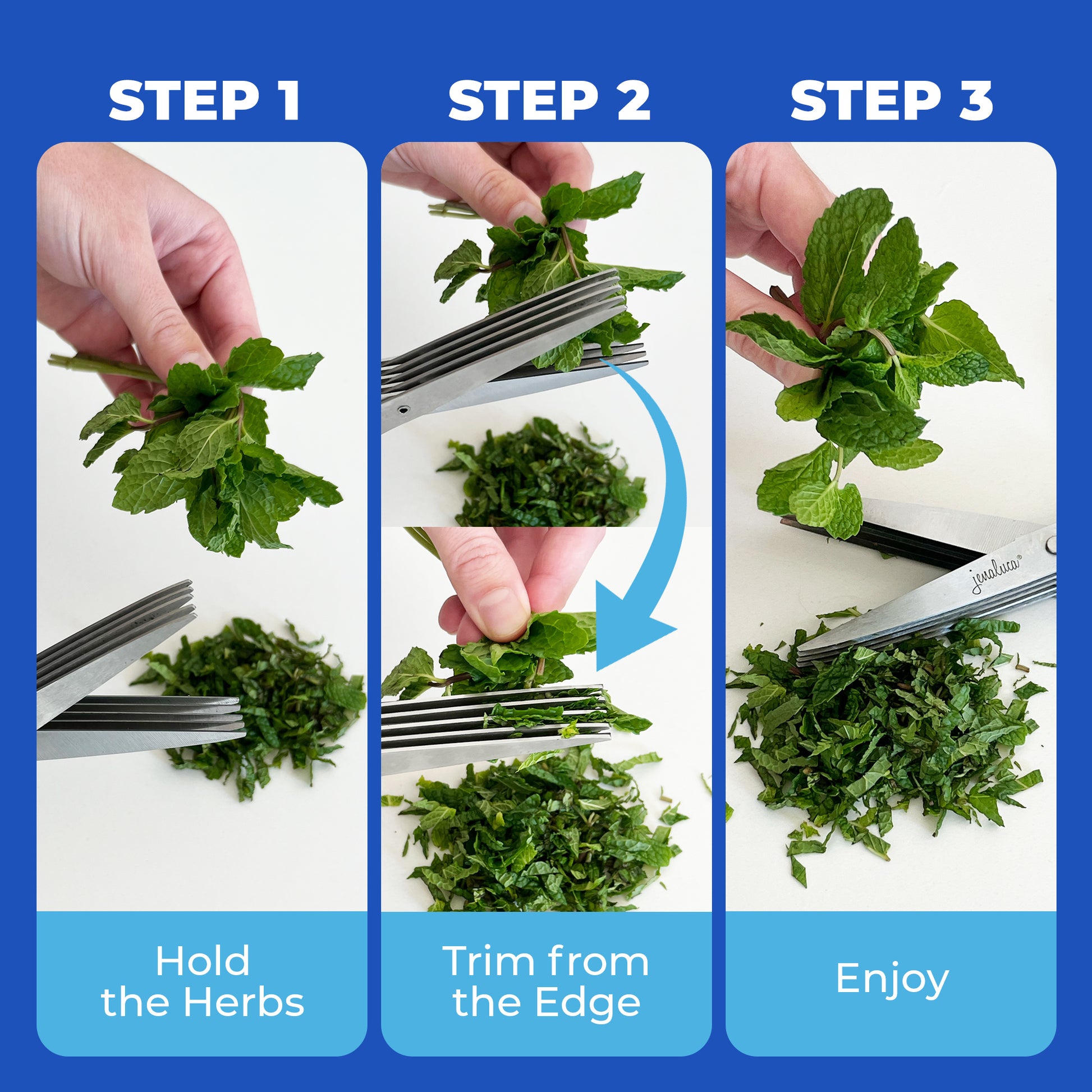 Five Blade Herb Scissors